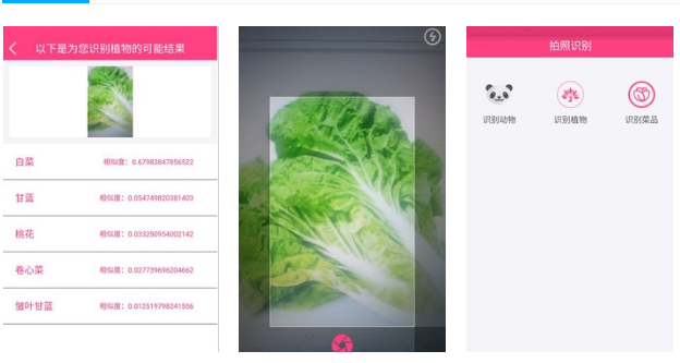 广州拍照识物APP开发