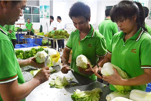 东莞桥头蔬菜配送公司 | 桥头饭堂配送蔬菜 | 桥头食堂送菜服务