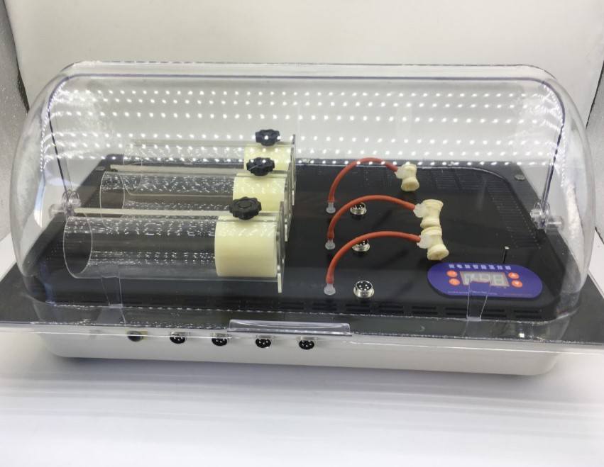 大鼠无创血压测定仪XR900型