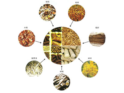 宁波生物质固体成型燃料检测专业机构