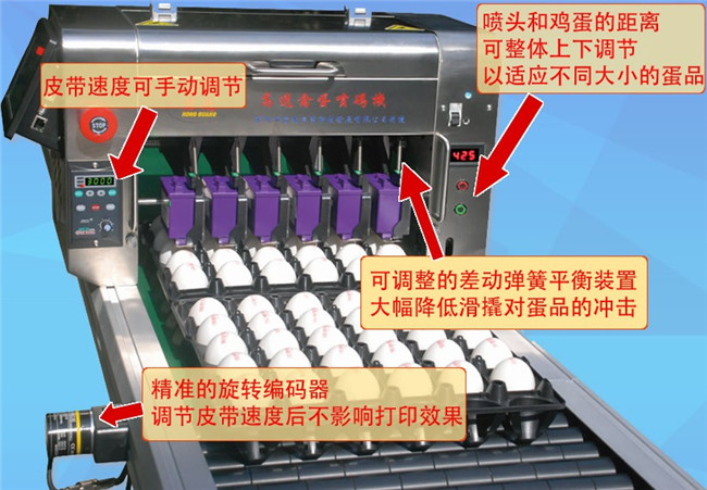 江门鸡蛋喷码机-宏光伟业科技行情价格咨询