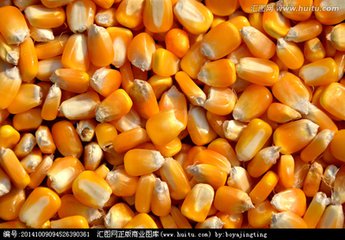 求购玉米、高梁、大米、糯米、小麦等饲料原料