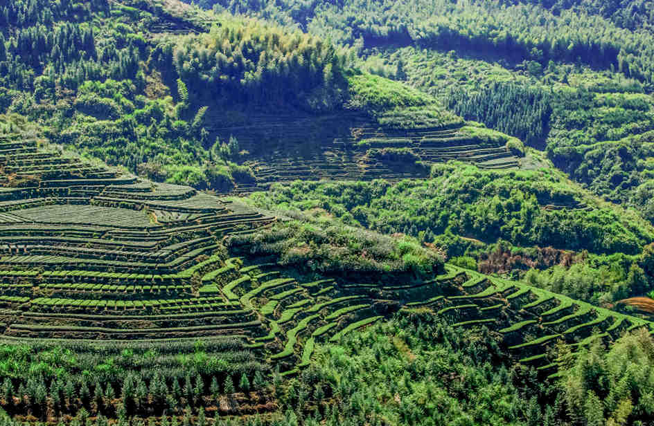 北京地区转让一家国际旅行社