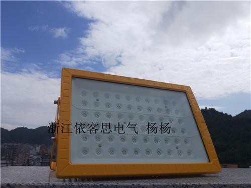 LED防爆工厂吊灯