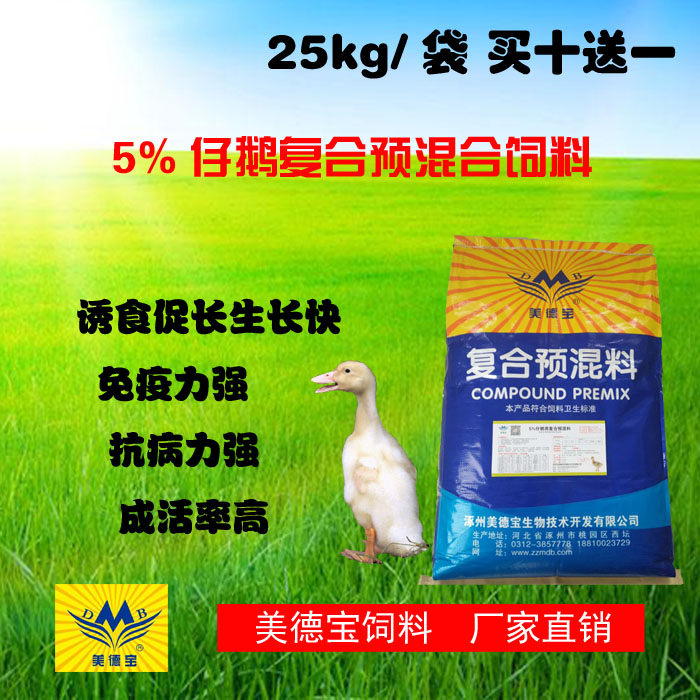 肉用仔鵝的饲养方式