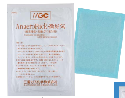 AnaeroPack微需氧产气袋 - 微耗氧产气袋 - 三菱瓦斯微需氧产气袋