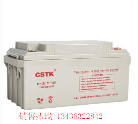 CSTK促销 UPS不间断电源 12V65AH UPS铅酸免维护蓄电池12v电瓶