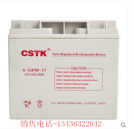 CSTK UPS电池 12V17AH 消防主机免维护铅酸蓄电池 美国国际监制