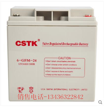 CSTK 12V 24AH UPS电池 阀控式铅酸免维护蓄电池 12V24AH 蓄电池
