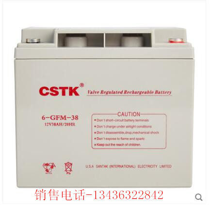 CSTK UPS电池 12V 38AH UPS电源 免维护铅酸 蓄电池 12V38AH电池
