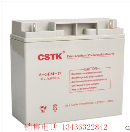 CSTK 12V12AH ups铅酸免维护蓄电池 质保1年 UPS/EPS均可使