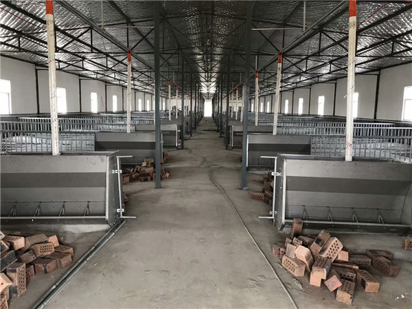 洛阳猪用干湿喂料器