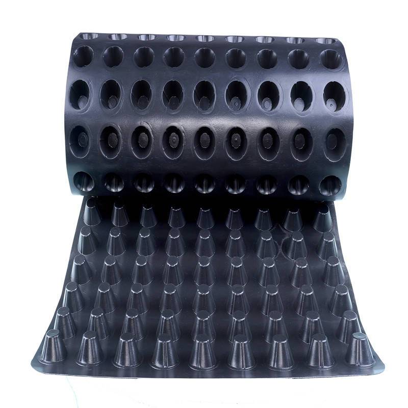 排水板-塑料排水板生产厂家销售