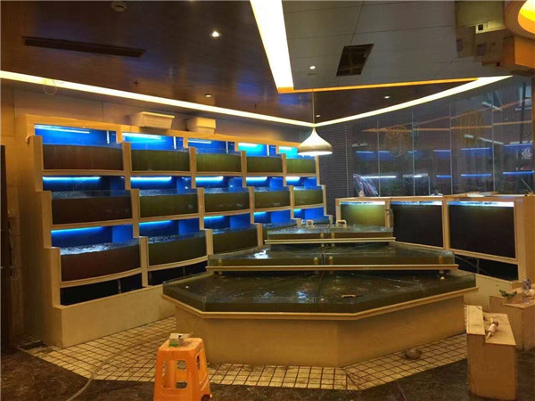 泉州海鲜池定做公司_泉州海鲜池制作费用全国知名品牌