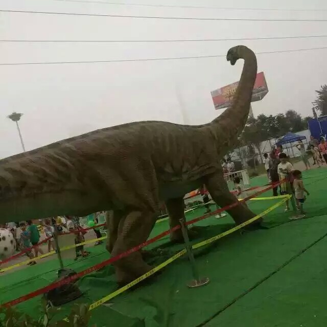 大型仿真恐龙模型出租 恐龙模型展览展示吸引人气