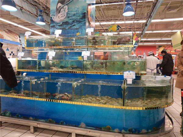 德化移动海鲜池设计制作