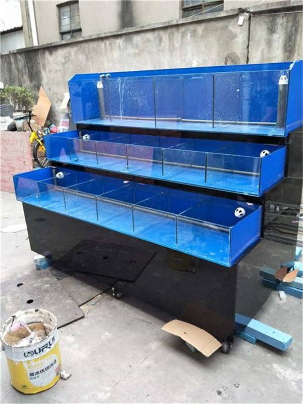 南安海鲜鱼缸制作公司中国一线品牌