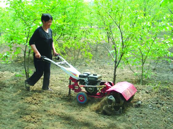 农用田园管理机柴油动力 手扶开沟培土机蔬菜大棚耕地