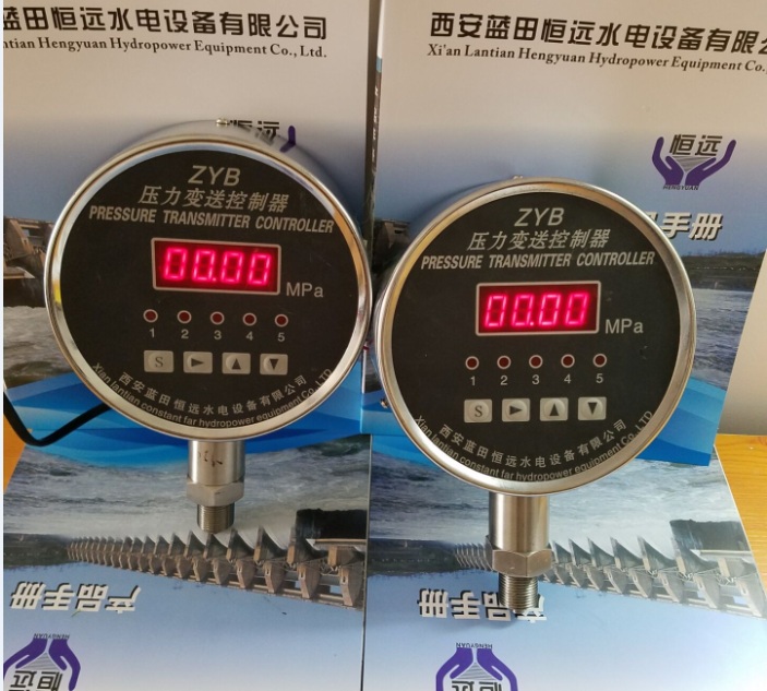 油混水信号器WM1-L100/L300-24VDC说明书