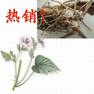 药蜀葵提取物 10:1 ，1% 