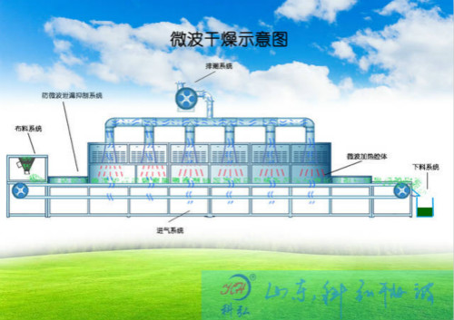 工业微波粗粮杂粮熟化设备适合国内大型粮食熟化加工厂