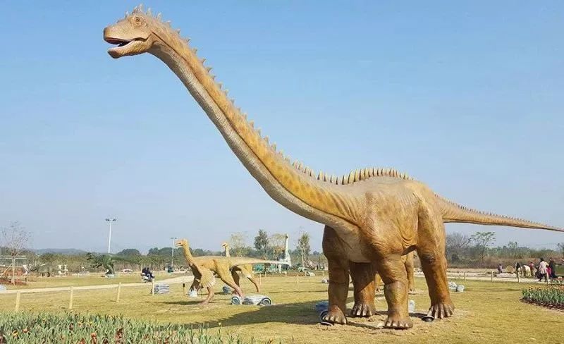 恐龙模型租赁-电动仿真恐龙-暖场机械恐龙出租