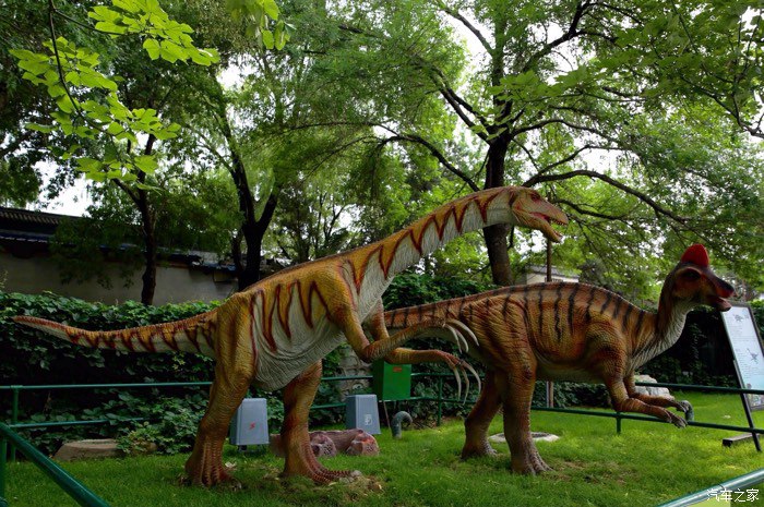 北京仿真恐龙生产厂家-租赁批发定做仿真恐龙