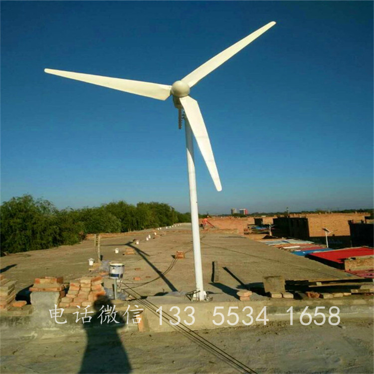 供应环保小型风力发电机 高效永磁低风速发电