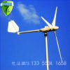 求购2000w家用小型风力发电机 水平轴风力发电机的优点