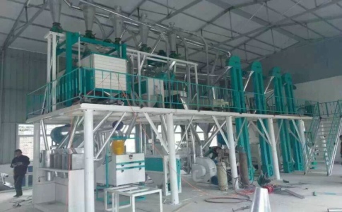 河南成立粮油机械有限公司FTA150型玉米加工设备生产厂家价格