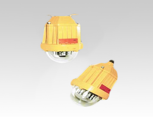 BPC8765 LED防爆平台灯价格 工厂加油站用led防爆灯
