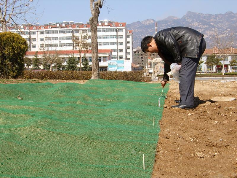 福建三维土工网垫