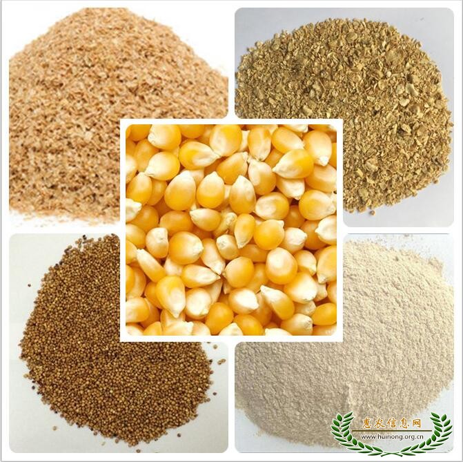 玉米收购企业 常年求购玉米高粱大豆棉粕次粉荞麦油糠碎米等原料