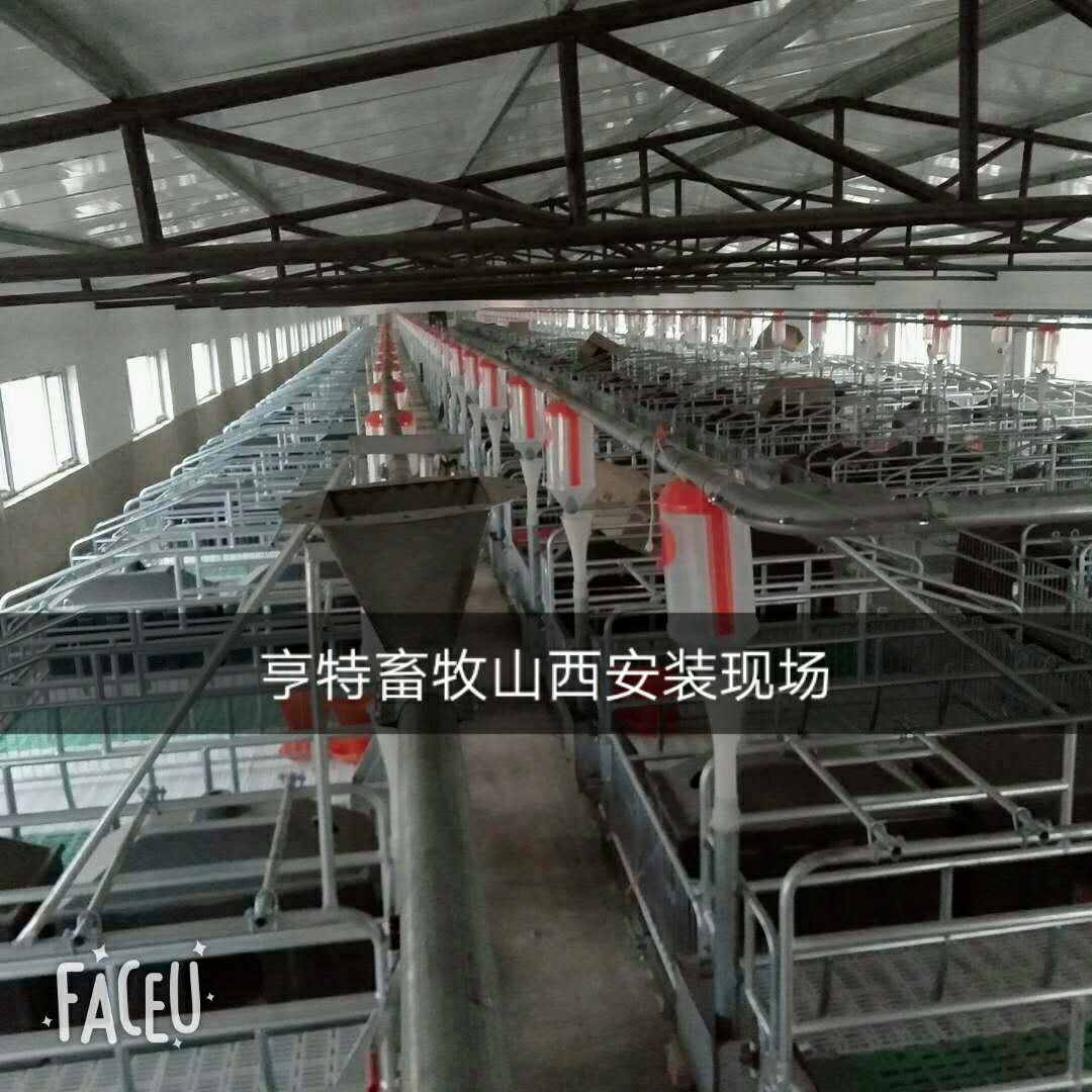 养猪设备厂家焊接热镀锌连体母猪产床定位栏现货出售