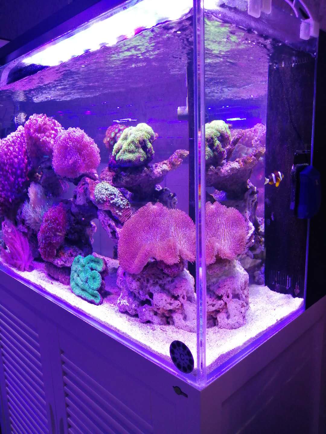 出售水族过滤器材