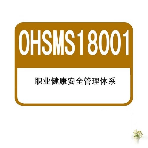OHSAS18001职业健康管理体系认证 三体系认证中心