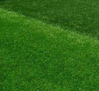 供兰州人工绿化草坪和甘肃网球场草坪供应商