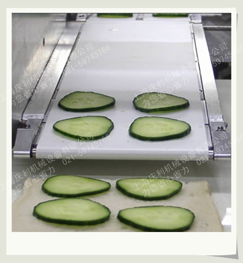 定制冷链食品加工输送线－上海庆利制造食品厂加工线设备