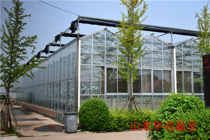 玻璃温室材料-玻璃温室大棚施工-山东玻璃温室大棚