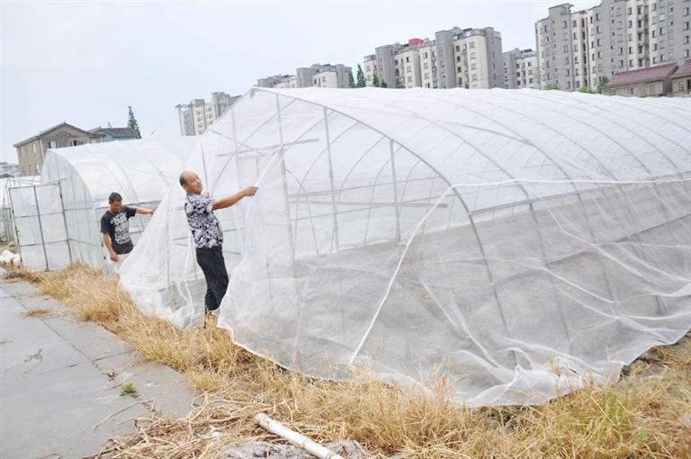 加宽幅蔬菜大棚防虫网纯料好质量结实耐用防虫网