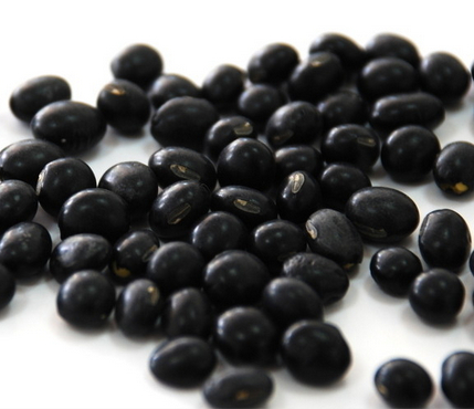 黑豆皮提取物，黑豆提取物 5%-10%花青素 anthocyanidin UV 