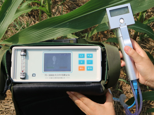 FS-3080D玉米光合作测量仪