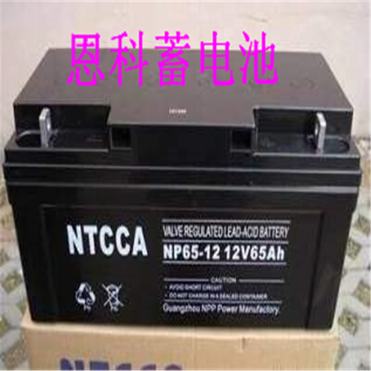 NTCCA恩科蓄电池NP65-12/12V65AH价格