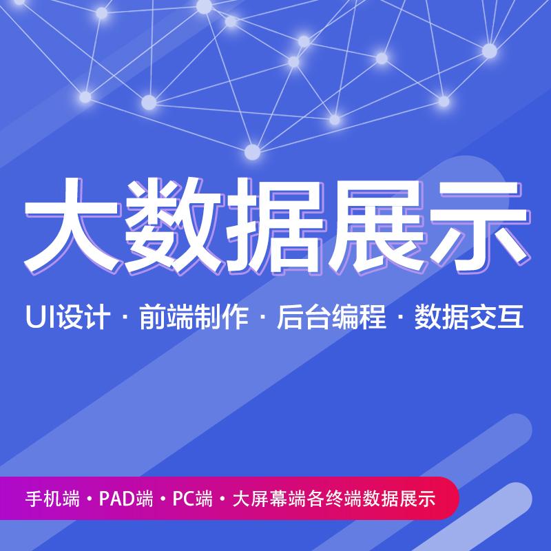 数据可视化数据展示与页面设计数据大屏软件开发