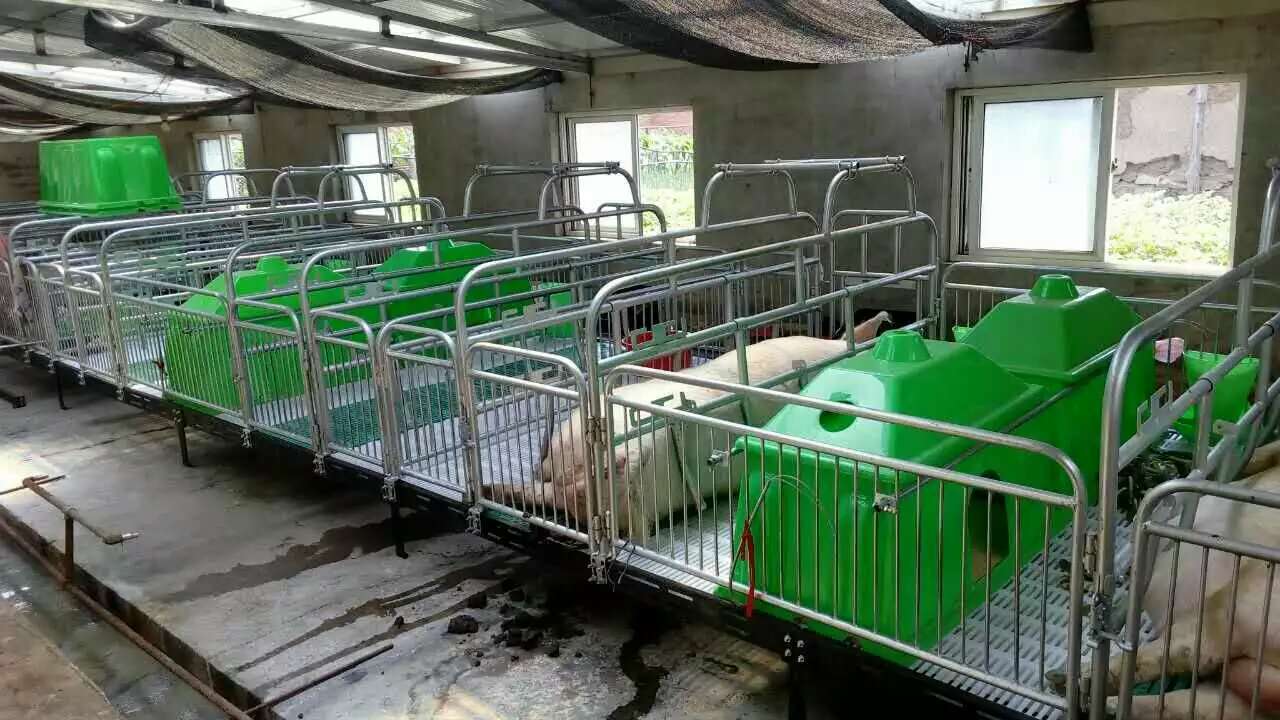 母猪分娩产床限位栏猪用设备厂家发货