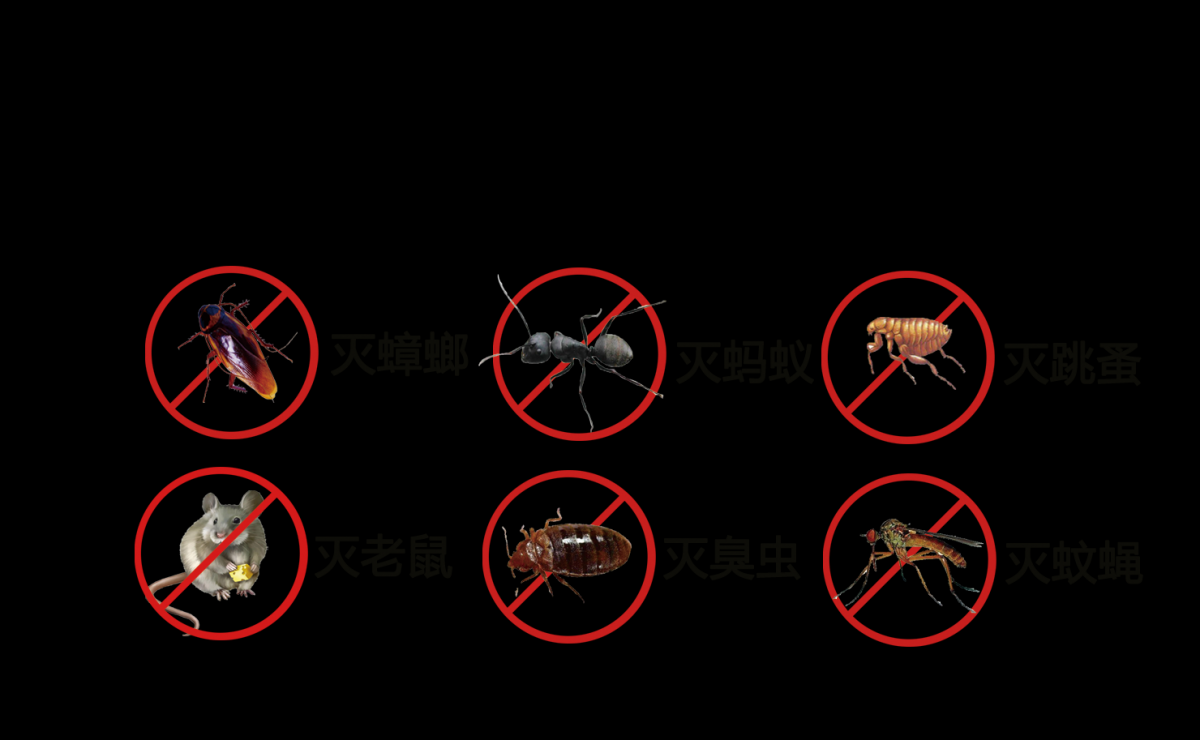 西安灭蟑螂的讲究方法而不能盲目乱用除蟑螂药