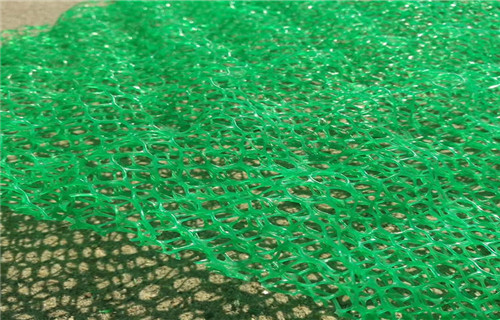 三维土工网垫-边坡绿化喷播三维网