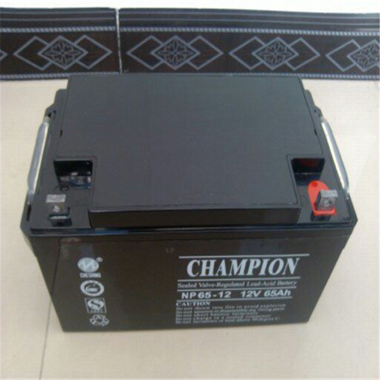 CHAMPION蓄电池NP40-12 12V40AH价格参数