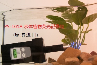 水生植物叶绿素荧光仪,水体植物荧光记录仪