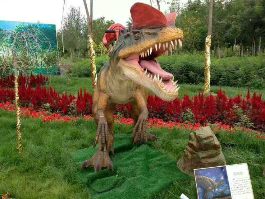 仿真动物恐龙模型出租、侏罗纪大型恐龙模型租赁